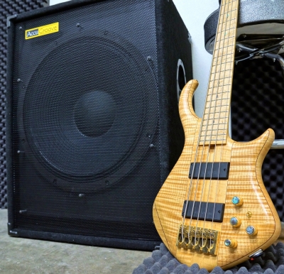 Accugroove Chooses Powersoft For New Powered Bass And Guitar